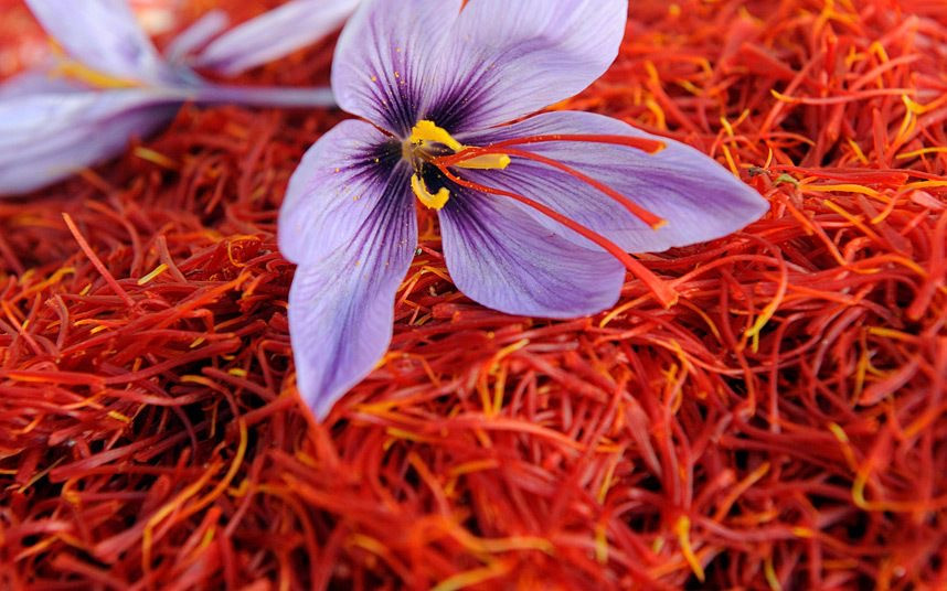 Agriculture saffron cultivation solution